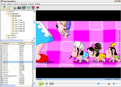 Flash Media Player Screenshot